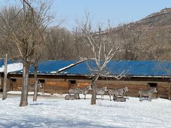 -石家庄市动物园