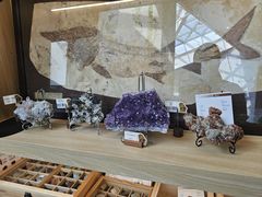 -北京周口店北京人遗址博物馆