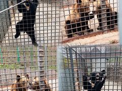 -水上乐园·欢乐世界