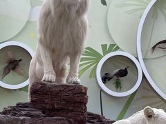 -陕西自然博物馆