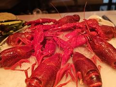 -红盔甲·小龙虾(天钥桥店)
