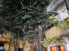 -来回·咖啡(钟村咖啡豆店)