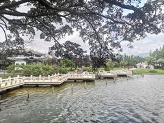 -江心屿景区