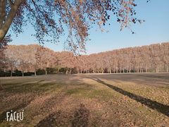 -河南省黄河迎宾馆