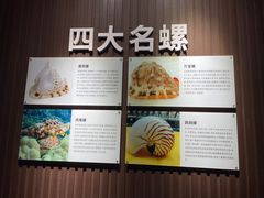 -贝壳王国博物馆