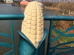 -上海长兴岛郊野公园