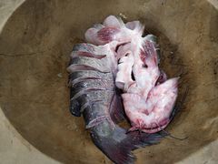 -云中鱼蒸汽石锅鱼(川沙百联店)