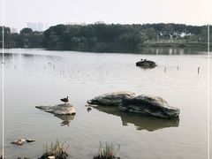 -海珠湖公园