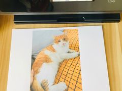 -平行世界·猫咖(首经贸店)