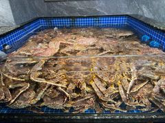 -东海怡品海鲜豆捞(舟宿夜江店)