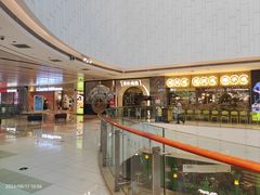 -洪氏嗨捞·广东猪肚鸡·椰子鸡火锅(西咸万象城店)