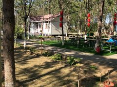 -草根堂农场