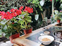 -大院河·仙鱼莊(九眼桥店)