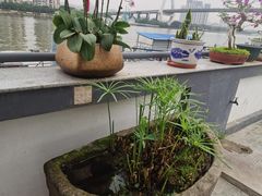 -粥旺庄(芳村店)