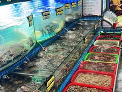 -望海潮海鲜店 特色家常菜(在海一方店)
