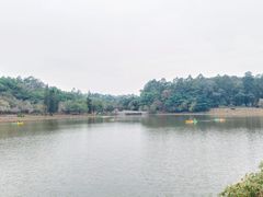 -南国桃园旅游度假区