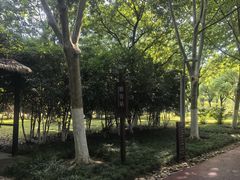-滨湖塘西河公园