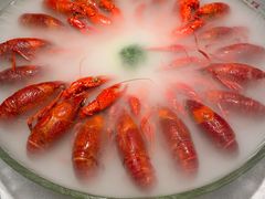 -红盔甲·小龙虾(天钥桥店)
