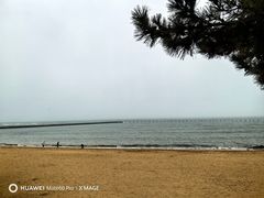 -栈桥景区
