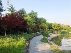 -花溪公园