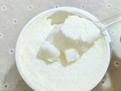 -老周记顺德双皮奶