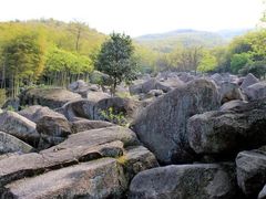 -山沟沟景区