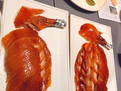 -小大董·烤鸭(观景餐厅·南京西路店)