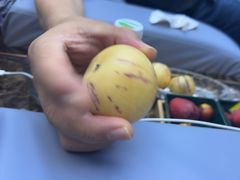 -尚康·按摩SPA·经络养生会所(东城总店)