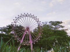 -渔人码头(洛溪店)