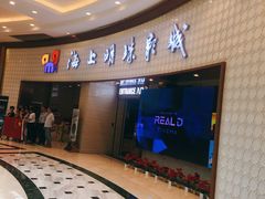 -AMG海上明珠影城(上海环球港RealDCinema店)
