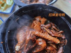-百家春好德来姜母鸭