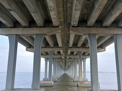 -宝安西湾红树林湿地公园