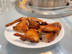 -南海鸽天下(肇庆店)