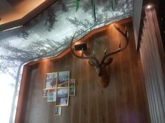 -haxnbauer海森堡德国餐厅(深圳coco店)