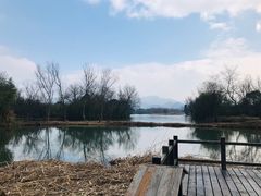 -西溪国家湿地公园