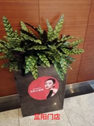 -Yestar杭州艺星医疗美容医院