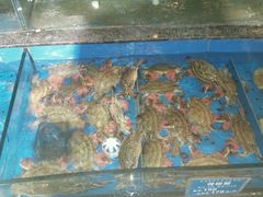 android_upload_pic-老东营·东营菜(西四路店)