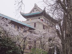 -武汉大学-樱园