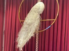 -红顶食府(滨湖九号店)