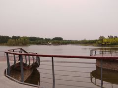 -东郊湿地公园