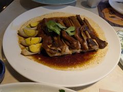 -点都德·毕德寮