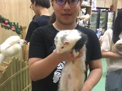 -藦茜花园宠物主题亲子互动体验馆(国顺东路店)