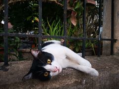 -乌托邦酒吧和餐厅