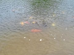 -沐仙湖湿地公园