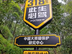 -碧峰峡风景区