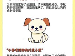 -北京观赏动物医院·24小时大型综合·猫专科·异宠专科