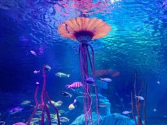 -沈阳海洋探索中心