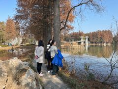 -东湖落雁景区