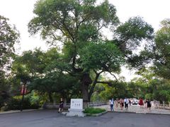 -北陵公园