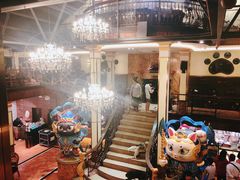 -more than meow吴止猫主题餐厅(承德 中船汇店)